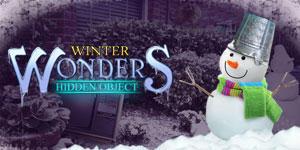 game Winter Wonders